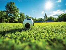 体育竞猜爱好者分析场景